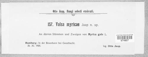 Valsa myricae image
